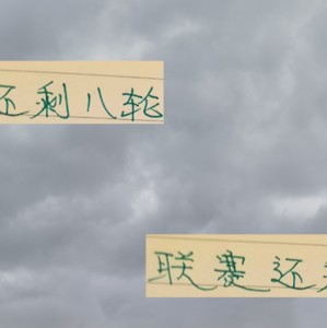 联赛还8轮！申花 海港 北京国安 成都家家都有难念的经